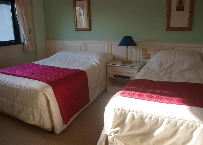 Shelmalier House Pensión Athlone